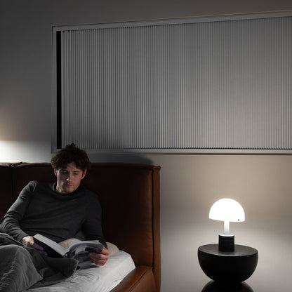Guard 2 — Total Blackout Blinds